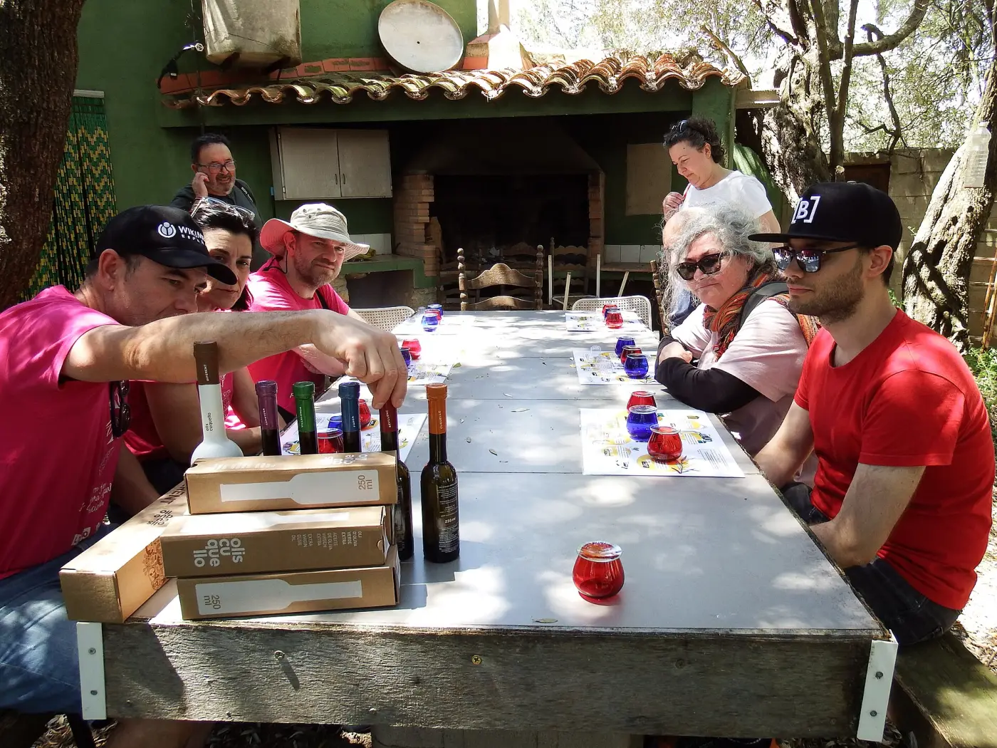 Grupo de personas catando distintas variedades de aceite de oliva en una mesa al aire libre